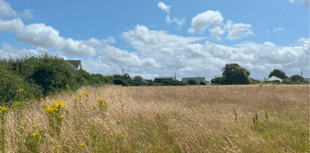 Proposals for 49 homes in coastal village submitted 