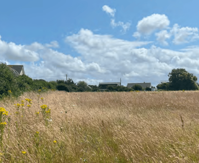 Proposals for 49 homes in coastal village submitted 