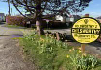 Support your community as a parish councillor