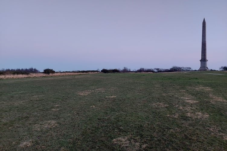 Bodmin Beacon Nature Reserve (Picture: Aaron Greenaway)
