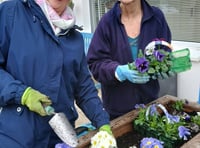 Community news from across North Cornwall, Torridge and beyond