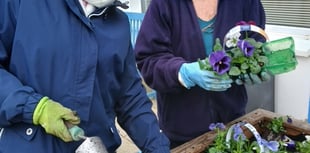 Community news from across North Cornwall, Torridge and beyond