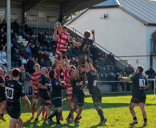 Bulut keen to ensure All Blacks avoid relegation play-off scrap