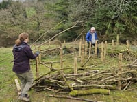 Volunteers breathe life into Launceston community woodland
