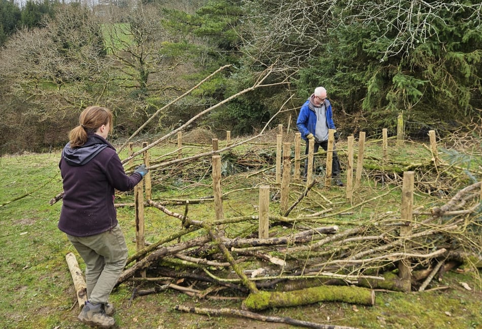 Volunteers breathe life into Launceston community woodland