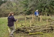 Volunteers breathe life into Launceston community woodland