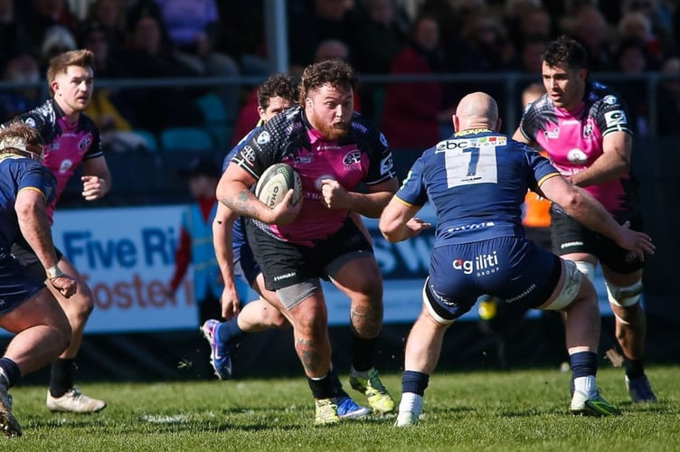 Alfie Petch, Cornish Pirates.