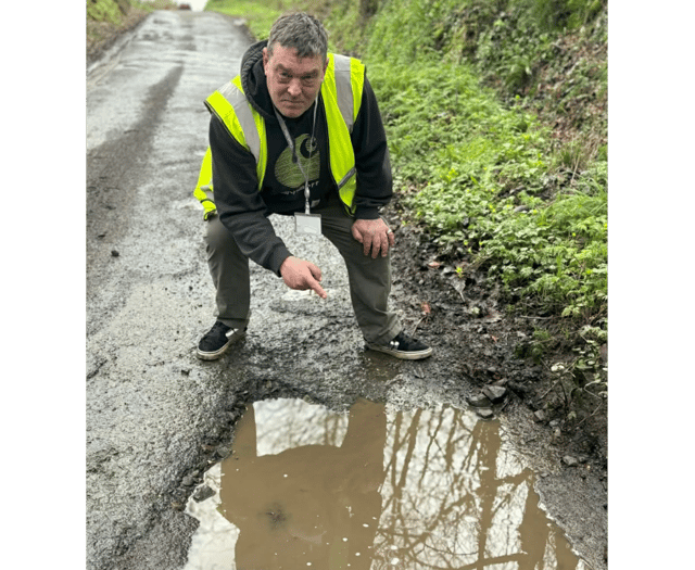 Calls for residents to help report potholes