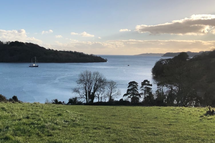 Trelissick