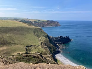 Coastal Cornwall - Woods where you feel you've stepped back in time