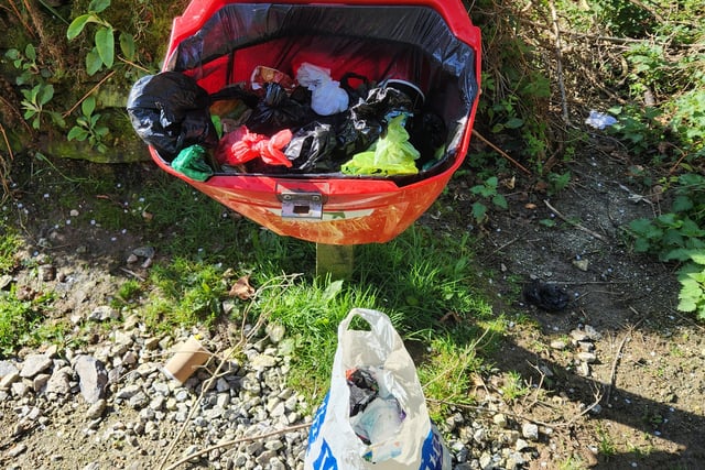 Forestry England issues rubbish plea