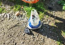 Help keep Cornwall's woodlands clean, urges Forestry England