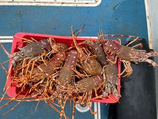 Fishermen fined nearly £10,000 over illegal shellfish offences