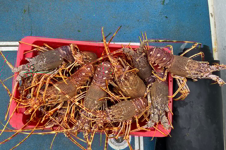 A trio of Cornish fishermen have been ordered to pay almost £10,000 in fines and court costs after admitting a series of fisheries offences 