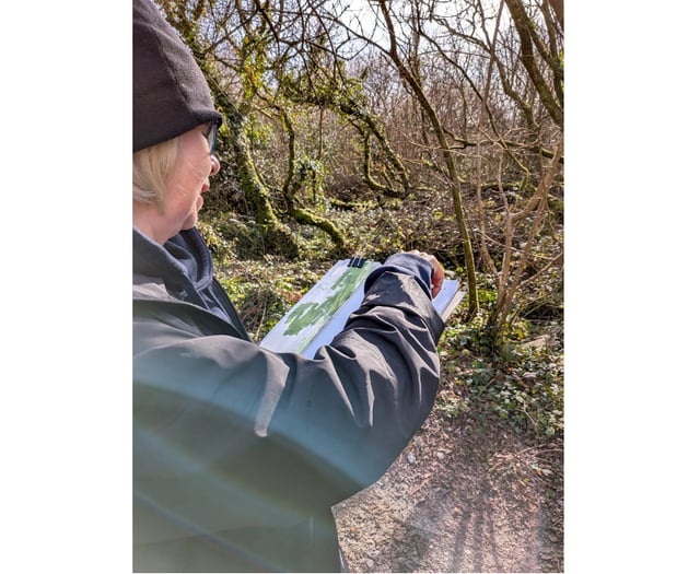 Delabole artists joins collaboration with water gardens