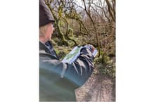 Delabole artists joins collaboration with water gardens