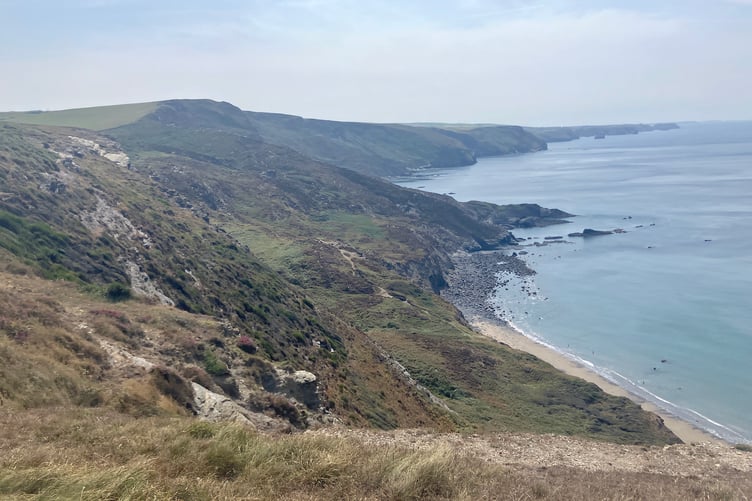 The view towards High Cliff in North Cornwall from above the Strangles beach. (Picture: Andrew Townsend)