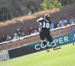 Callington draft in Somerset batsman Hill ahead of big summer