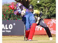 Trees look to push on after minor blip