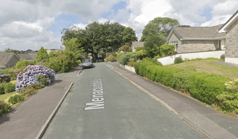 Man sentenced for biting police officer 