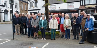 Guardians measure Holsworthy's iconic Great Tree growth