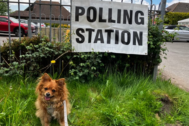 Kirstie Newton: Political shifts following local elections 