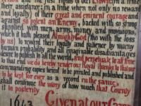 Henwyn tyller/Place names: Philleigh
