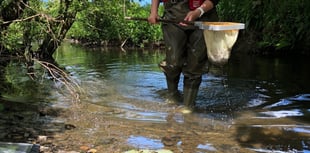 Cornwall farmer fined £3,765 for River Ottery pollution