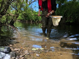 Cornwall farmer fined £3,765 for River Ottery pollution