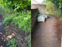 NCB Radio: From weeds to big lunches - a community bulletin