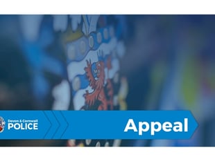 Woman in her 80s dies following collision near Bodmin