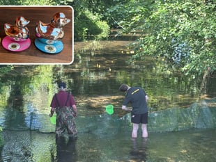 Community comes together for successful Lions duck race