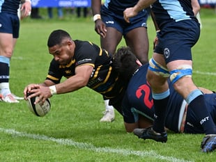 Dawe wants defence to be on song as Cornwall aim for final