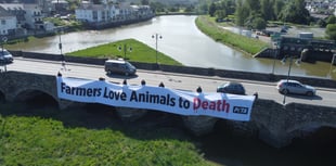 PETA campaigners send anti-meat message to show attendees