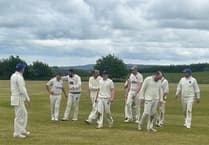 Petherwin's bowlers do the business as Bloomfield takes seven