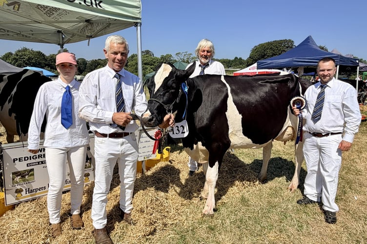 The team from Peter and Sarah Blake's Stone Farm in Whitsand Bay. Here they are pictured with their prize winning Pedigree Holstein at Liskeard Show