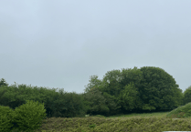 Community homes provider submits plans for social housing