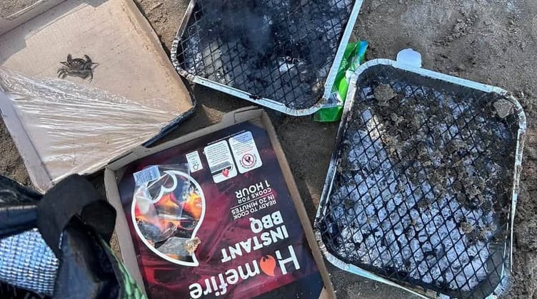 disposable BBQ