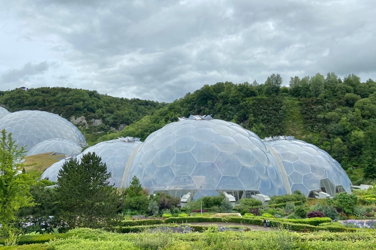 The Mediterranean biome at the Eden Project near St Austell in Cornwall. (Picture: Andrew Townsend)