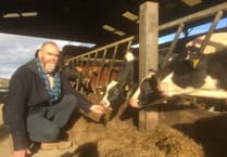 The SFI Lottery: Why South East Cornwall’s farmers are facing a financial storm