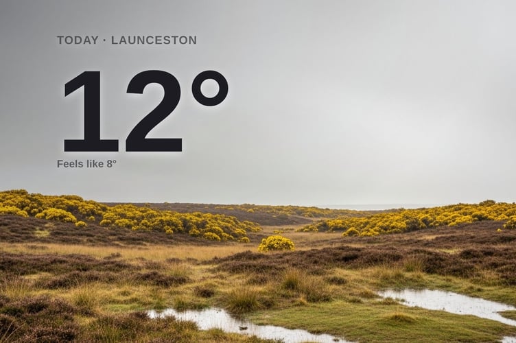 Launceston weather: rainy Wednesday with rain expected and a high of 12°C