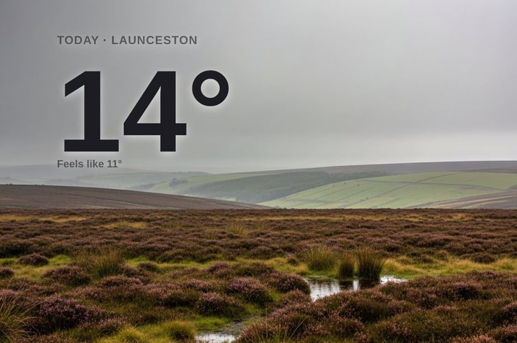 Launceston weather: cloudy Tuesday with rain expected and a high of 13°C