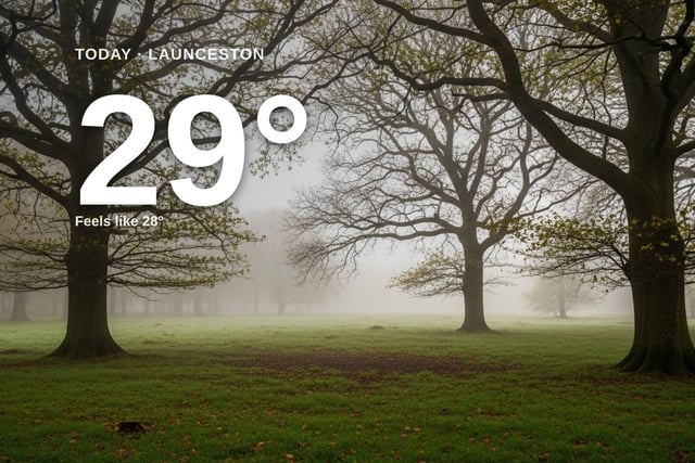Launceston: foggy day, high of 29°C