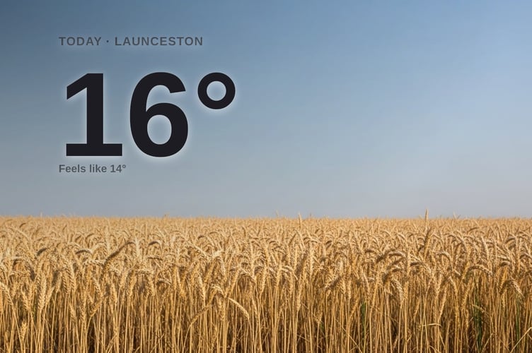 Launceston weather: sunny Saturday with little chance of rain and a high of 15°C
